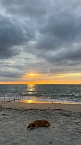 Avery_69 Public Hình