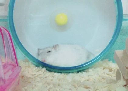 KABO_chan Public Pic 4