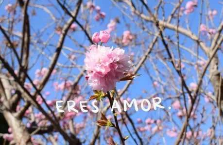 Isa_Maiden1 RECUERDALO 사진 4