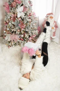 Ada_Monroe10 Merry Xxmas  5টি ছবি