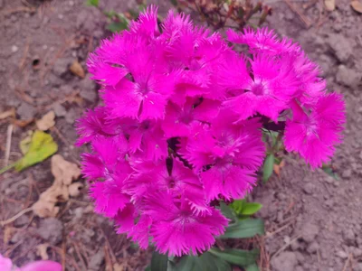 luisianacoxx 🦋 Foto