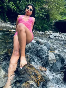 adristar rosa . fénykép