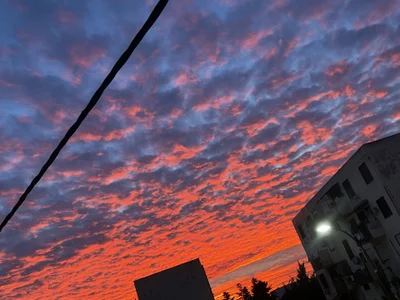 roland_alex1 O noooo صورة واحدة|roland_alex1 O noooo صورتان|roland_alex1 O noooo  2 صور|roland_alex1 O noooo  2 صورة