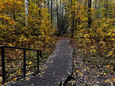 AlexFH Just walking along the eco trail Hình 5