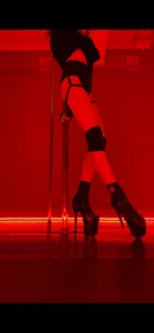 Erectioneering Public Pic