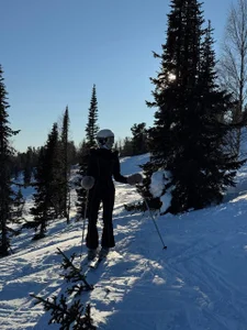 LachelleFrommer This is my life! Foto