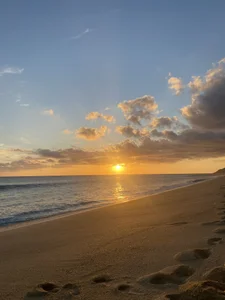 Amelia_Rouse CABO SAN LUCAS 👙🏝️🌴🌊 صورة واحدة|Amelia_Rouse CABO SAN LUCAS 👙🏝️🌴🌊 صورتان|Amelia_Rouse CABO SAN LUCAS 👙🏝️🌴🌊  6 صور|Amelia_Rouse CABO SAN LUCAS 👙🏝️🌴🌊  6 صورة