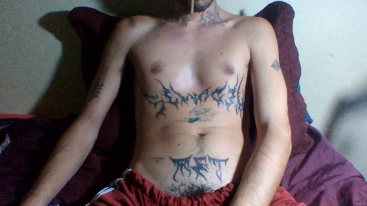 sellvageria selvageria Immagine 