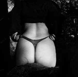 Moray_Eel Forest Poză 4