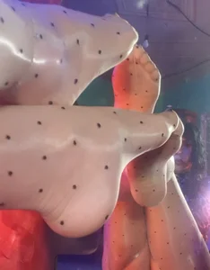 erotic_dessire_ Nylon Queen Kuva 5