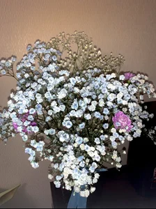 Goddess_of_Fertility: 🦋💙 ( 3 фото)