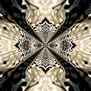 shakeweight kullanıcısının Public albümü -  7 fotoğraf