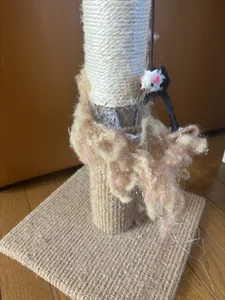 AKANE-- Public Bilde 3