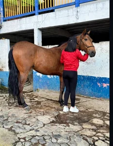 🐴🌻🥰 de belen_green Foto