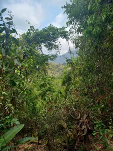 NayadeWelcome图片 4