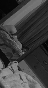 Public de rose_nova Foto