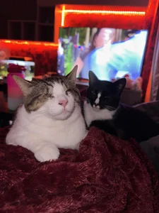 Piinkpandora kullanıcısının My Pinkis🐾 albümü -  6 fotoğraf