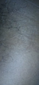 1 de jhbswto  4 photos