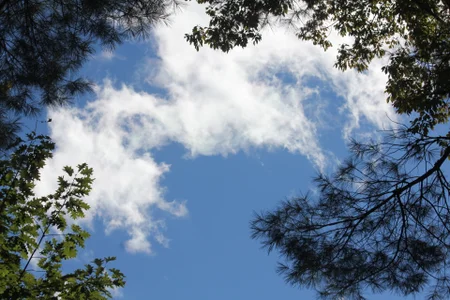 hello de sunnydude255 Foto 8