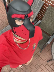 Donaldduck0069 Das bin ich  5. fénykép