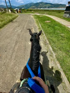 MaxiRogers my days! know what I like to do Pic 6