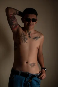 Public de TommyHolland  3 Imagens