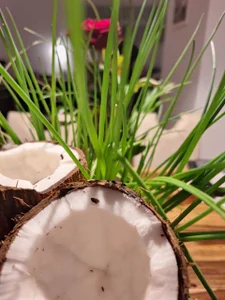 my hobby de WonderAngela  3 photos