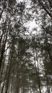 Martha_pookerxxx Tabak Camp Kuva 3