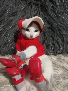 luna_sofia69 My Cat 🐱 Pic 5