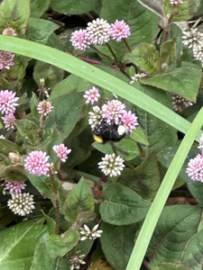 Evangelyne_1: Vacaciones ( 9 фото)