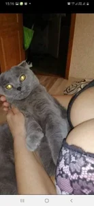 SweetCherry27: Public ( 4 фото)