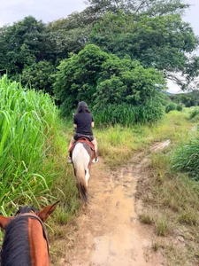 Nahia_BrmLet's travel to my beautiful Colombia图片 9