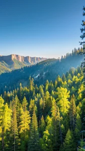 woxihuanzheli123 Public зображення