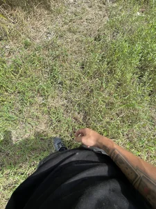 ImRutz Public Fotka 8