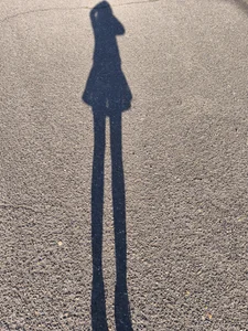 Mein heutiges Outfit für den Foto und Video Shooting . Wollt ihr mehr sehen komm in meinem Fanclub💞 de chillimonia  4 Imagens