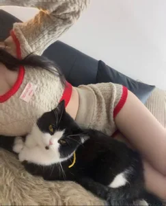 okyssa Public รูป  2