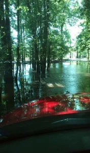 Brobun4fun Public Pic