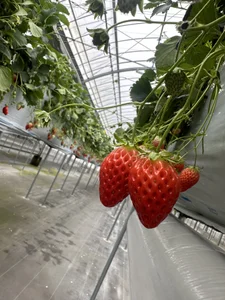 marika_mm kullanıcısının Public albümü -  4 fotoğraf