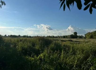 nikole_kitt nature 🌎 Εικόνα