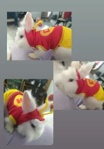 MY PEPE♥ od KOREN_JALAA  5 snímek