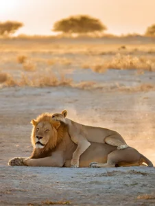 MadameeeKontesssDiamond-- Public Hình 5