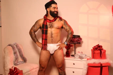 Lyon_vach Christmas leon Kuva