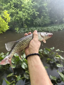 JondusS Hard @ work Foto 6