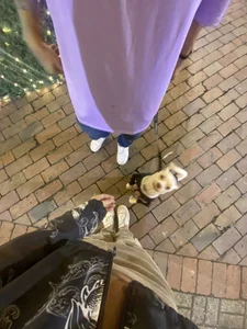 Lunita_5 My dog🐶🐾 Pic 2