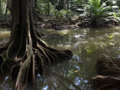 Annycolin_ Palomino - Colombia 🇨🇴 Pic 2