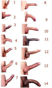 RinsingWood84 kullanıcısının Public albümü -  6 fotoğraf