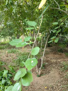 cuminpussyalotのPublicの 8枚の写真