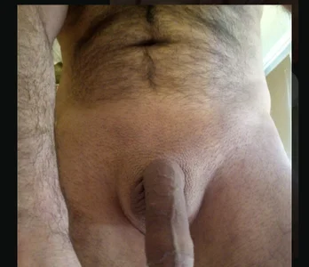 free od BigDorset8360  snímek