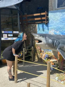 AzulSuccubus: My favorite place is the beach ( 5 фото)