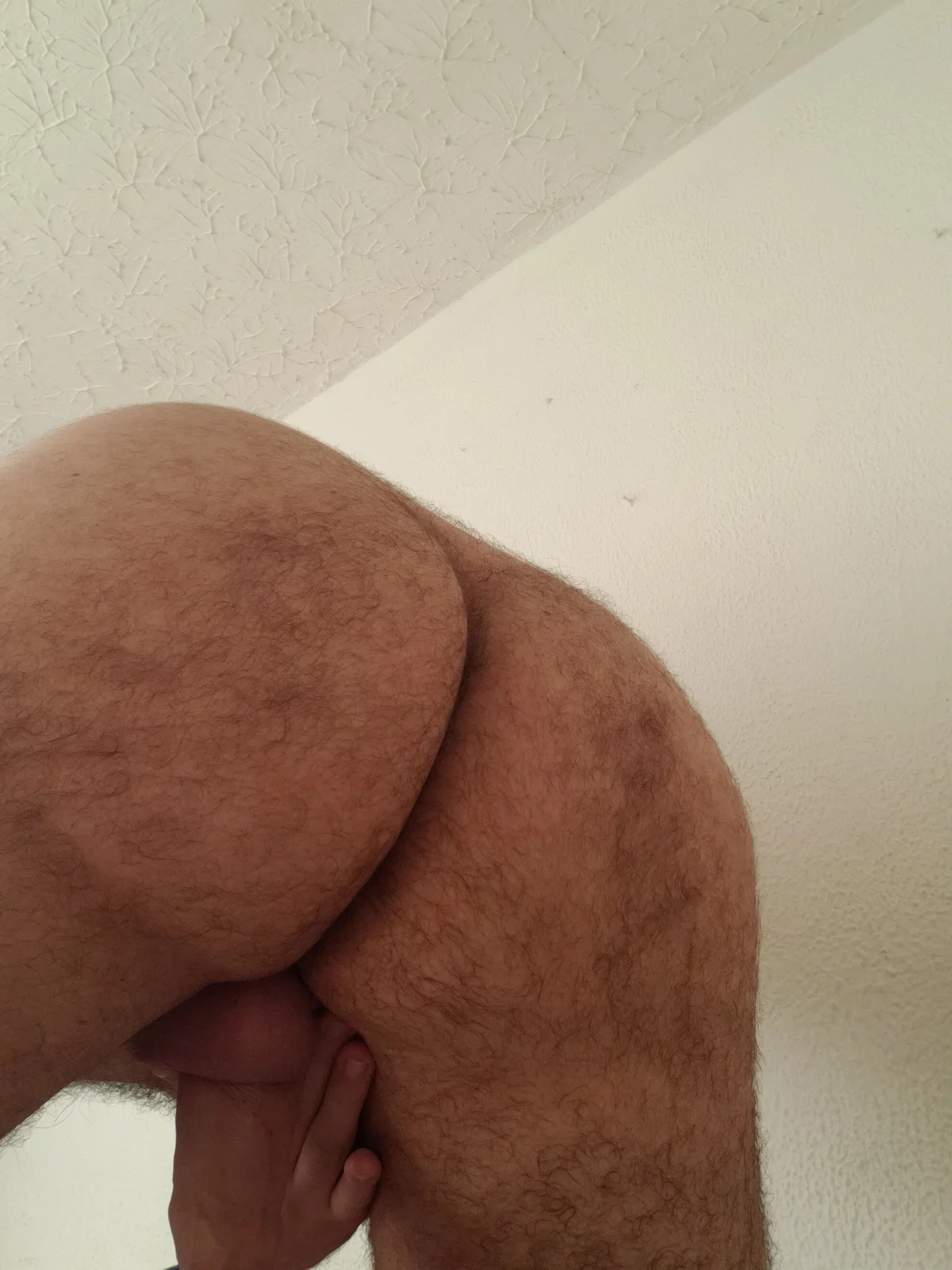 big__bearrr избранные изображения 5326